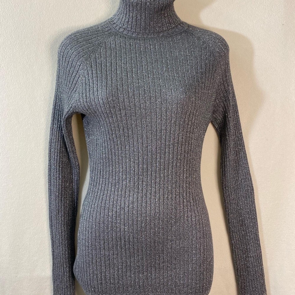Silver Lurex INC Ribbed Fitted Turtleneck Sweater